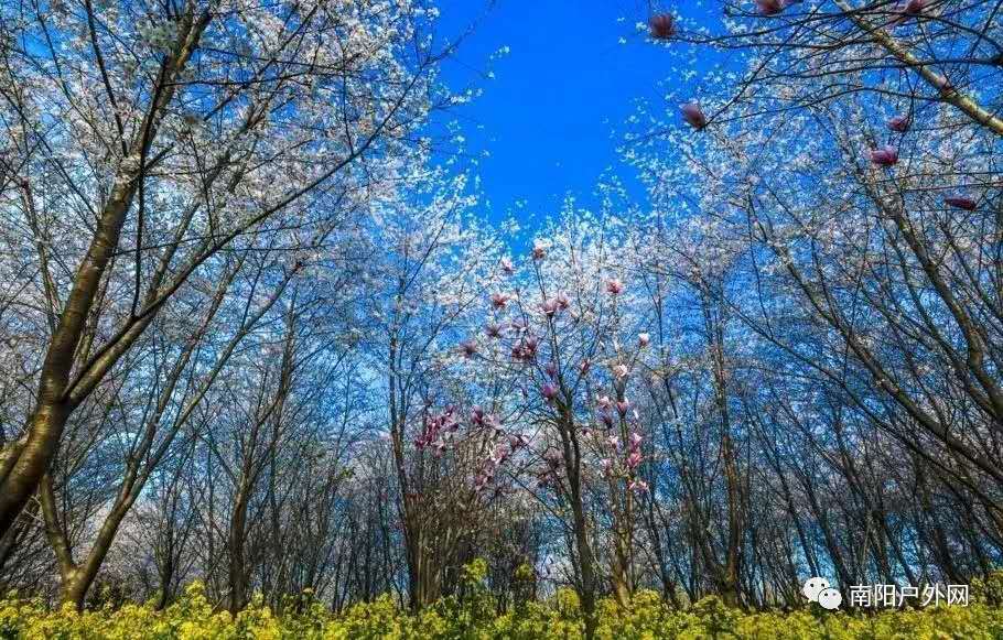 aeDPHrTgEPKZnlIqj6KHFi-ipDowdDncgFn6zbdO1RCDJ0wvo4LtSRUjFzz_TAPU