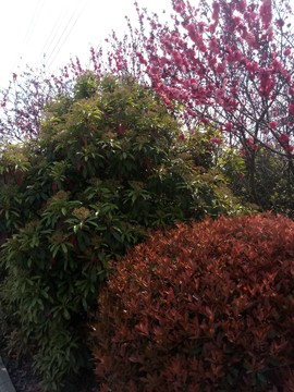 dARyfI7LTWgLlEfaHPcpb-Yz_JVQKec7kED4WXW82JIie4E5q4rZzHinG1eqtRIv