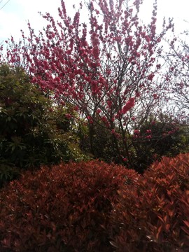 _JqhMOJUwZ_wUh9ltgqRgs2uQvv9uR1Vwj1_0f6yNBZN4lUN09qopv8m6Sq112Z4