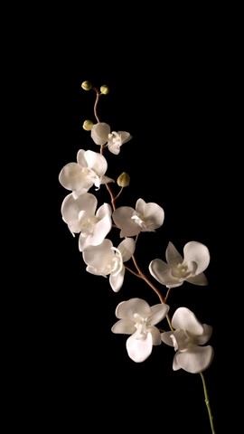 JV6V5uUPGhr3p5dN_SR6o7HacaR4JIuPY8xEevXx9zUNmghiTh1m8e_ZJx-pMrkh