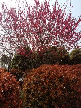 ajYCUGuwqeGjO3KyzcGYCxAlHg_-HUR4Hd7DQP_fZOrCqcsjGq16fb_-D-o9dAQM