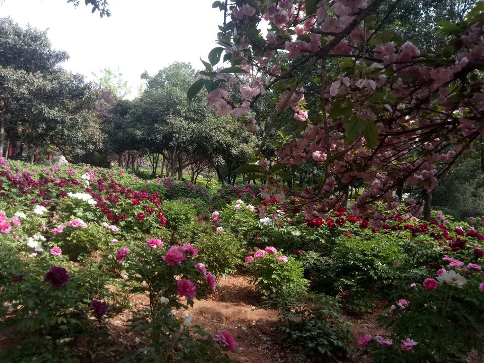 Y5PDYw1fbZPPmUFBYpkNHXRAjVddxkvlt5jvTop9pOoqWk7ZoAMHXbEa6HClYFHe