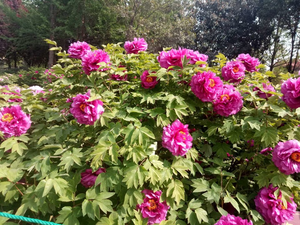 3LrCMojzLXXUmb9hZMtg8ZnrZujJzzIA_V6DwFhEQaDeQ5OerCvIA9W2rvSkz479