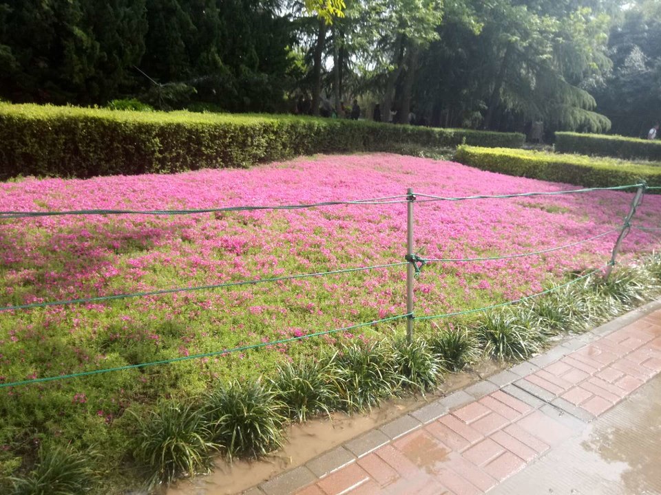 3G_9ACySdfgWFrWmebJtPvTjWRdzLdrP6sWR0QrBEU6uBxpQ11oWrXaataVz7gon