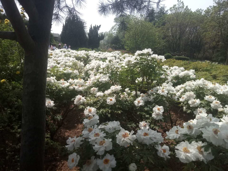 VACDAnAlsWFwXgTOtWPafw2epBgfw3kjGcnFGhkqu3Envd7y-ta7nzo_-s3ry8Di