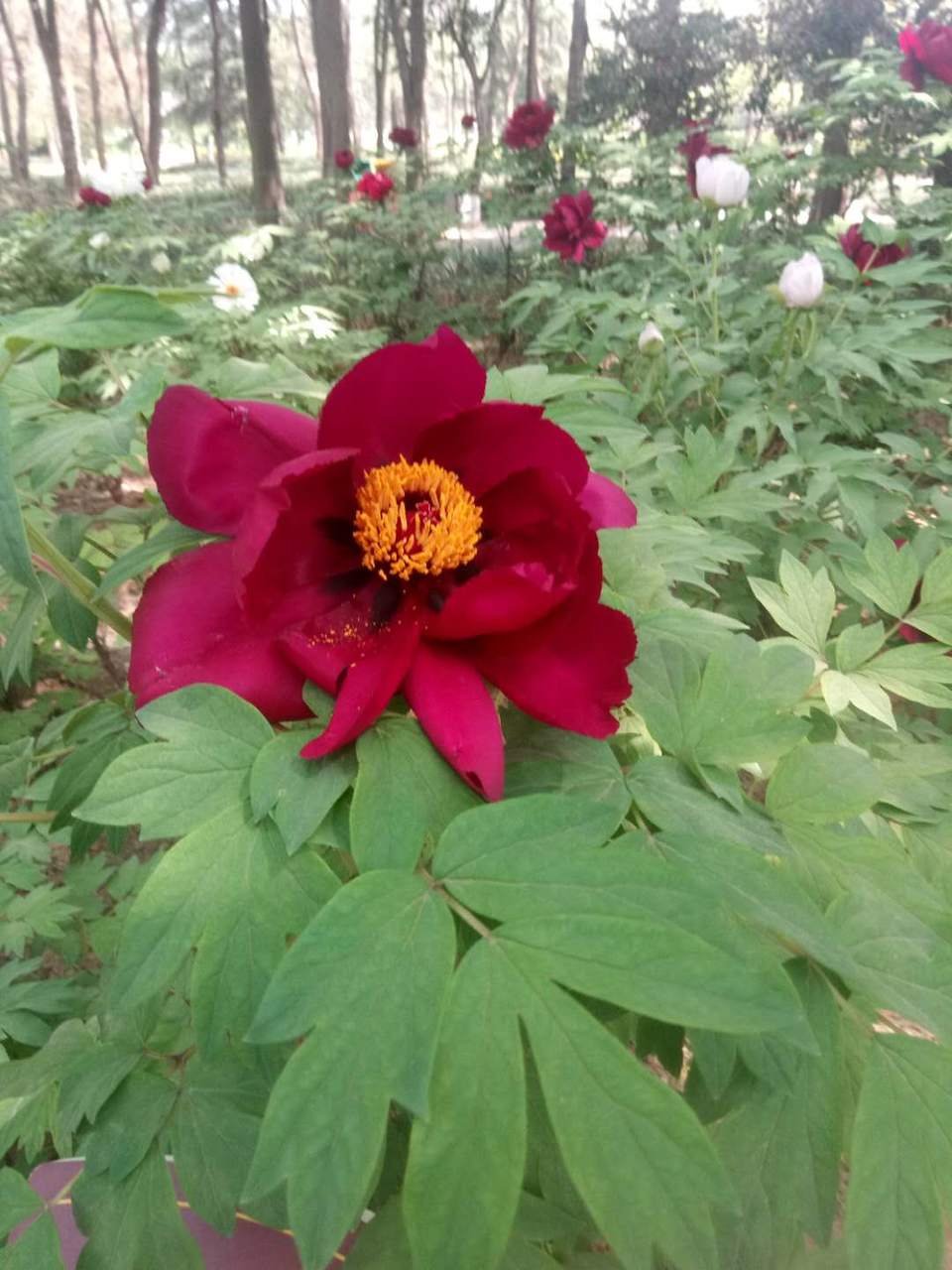 opF3s7j0HcNtYzjIqXc95g685DR6vqY5IWWfb1slL5ZImcfNPJa_ldceLhEVjsxE