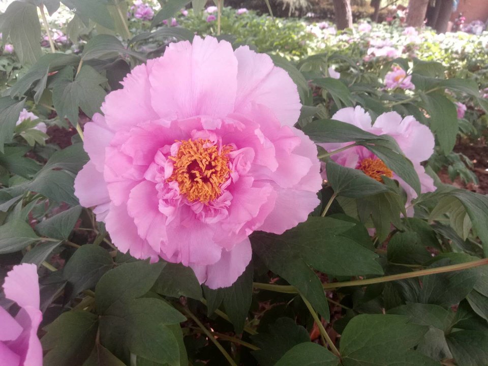 IMqRNcp486MuODmFEWAMdXcGMqN9KC2iYyv4dIDIQb_-PAryIj1KpOG0FFa0yxya