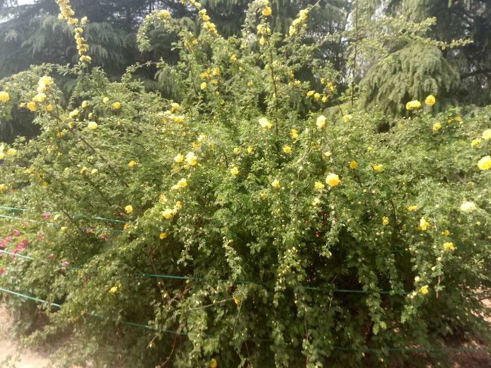 aqD1JzDJPZGYgMZYHumqE-QF2PqqrniX3SYJuI8GeSdlh1pSSnxfHxyHpvIoG3c1