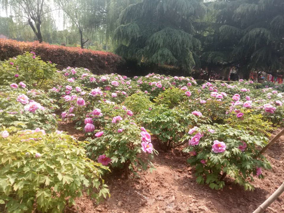 9QCR-4iUnEMDLV7w2OKfCrpBy46-ocLAgq5J_kurAYO7p6X2goOzVNpkTKqx7ed9