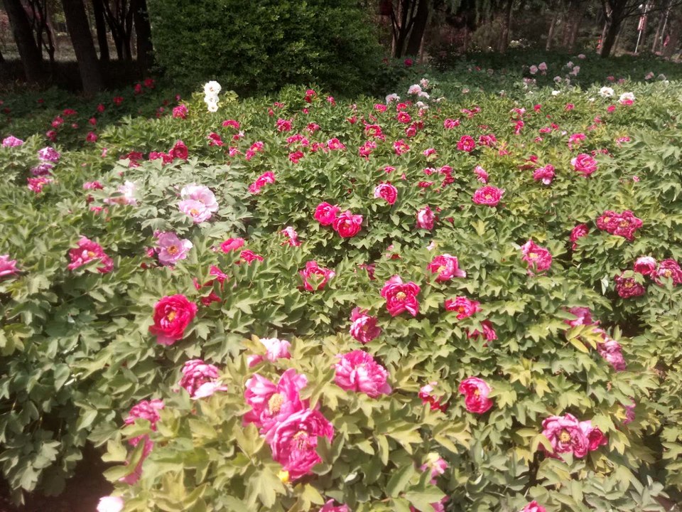 f5rR-AAU0Tz73kd2qe41Z0k8k6ucflSaxWk2UE0XuRHheU4DiOoNZ0X1ZhluIcyS