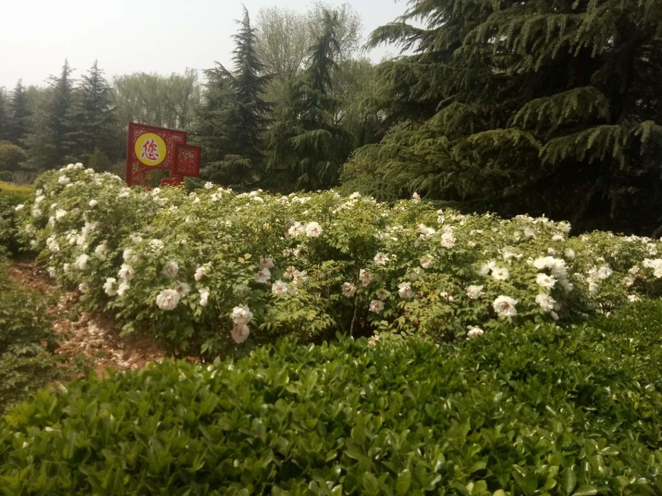 rUaCXqWo92vFcqstjRUV--GdXEPEzJ7J8w2F1Ai0OZ6j7K165XQW5Ou7klGwCGDk