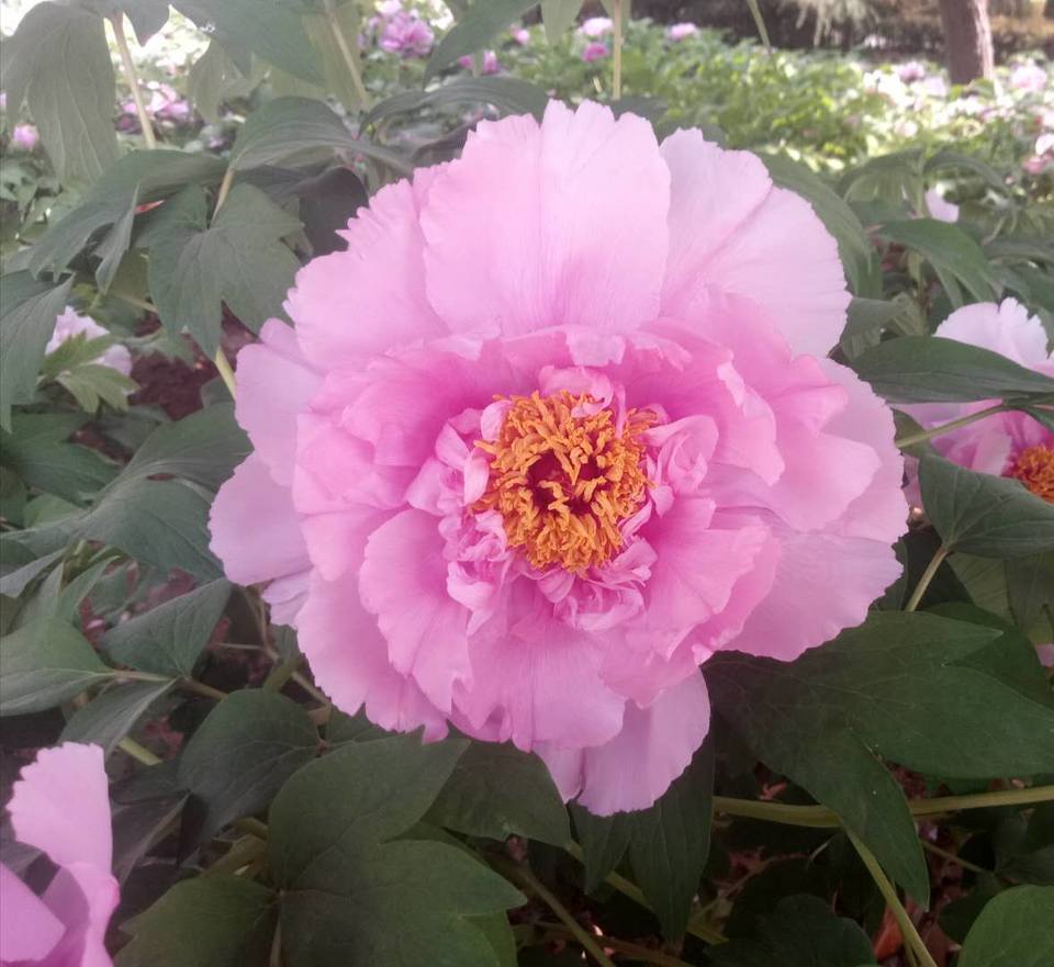 LP0zvT2yqx1rn-RJ3mHTqHzMNoZRag9_weGcI9dTOZVSTxOov2XHiYGMGYFlRoeQ