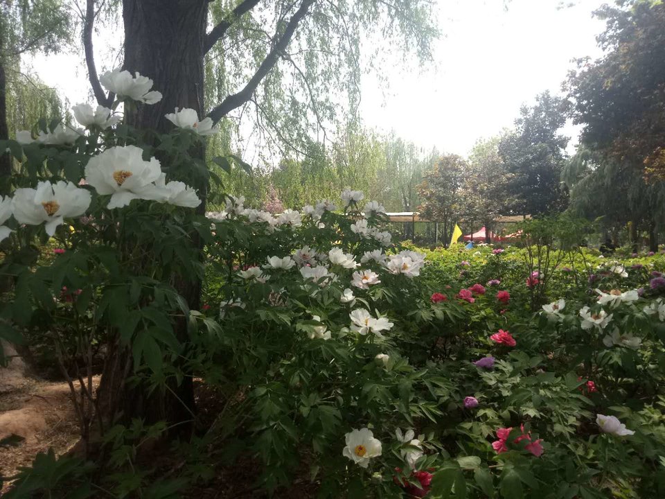 mpRKMeN5lVGpkJYZhI5yBl-_GBtKRPlyg3Nh3ak28WlRjo3llhlRQGmsf2AzTfMn