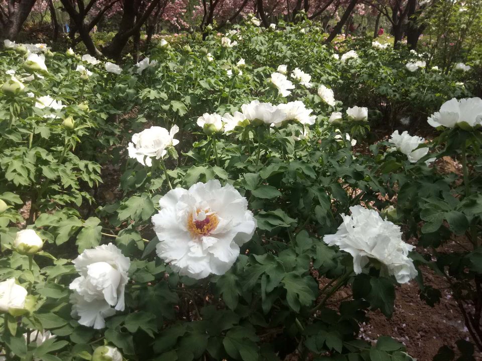 ajCwkWivdPh1tjQ64b_gJre39Y2fcVadhrpQV6VPByMpFowPIqCopgF0ia77iSgx