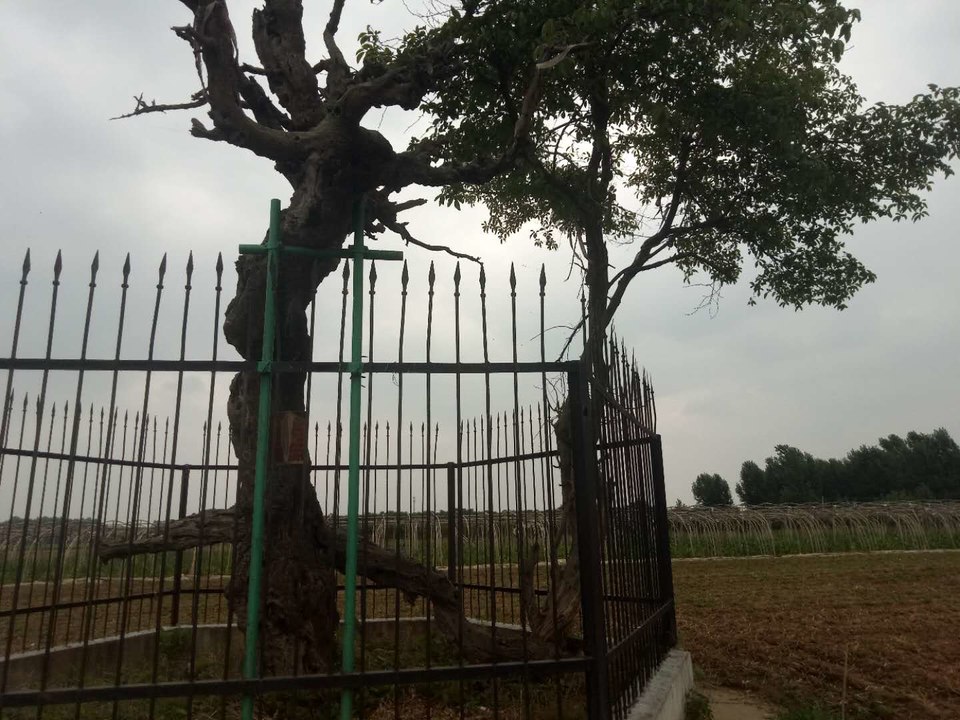 lHFRBPanQMJHas40oDXzAFjslMPONYxeJC8J-Pmq60ifL0J8L630nnoG3Jk_ULCX