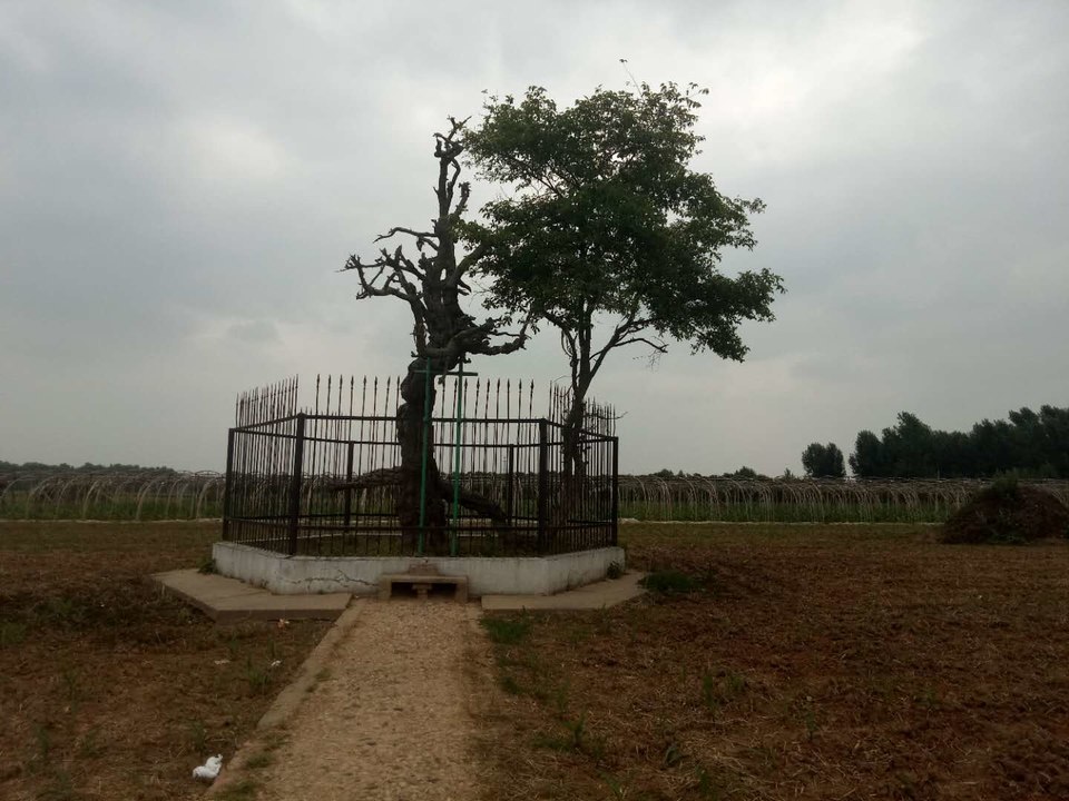 WRlxCwMADK3NrIT-VeRQfn2aflZetPzNXz0PhT_hcd7gAl0Hkc5pp3ebEC0rXmSw