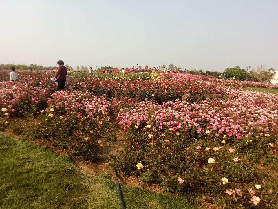 vZQCVmVNpk8gdPvGvuslpkzmg9sBjm_mvaNNqVwNFMj3FFX868Cvb4Lrt2fwZyok