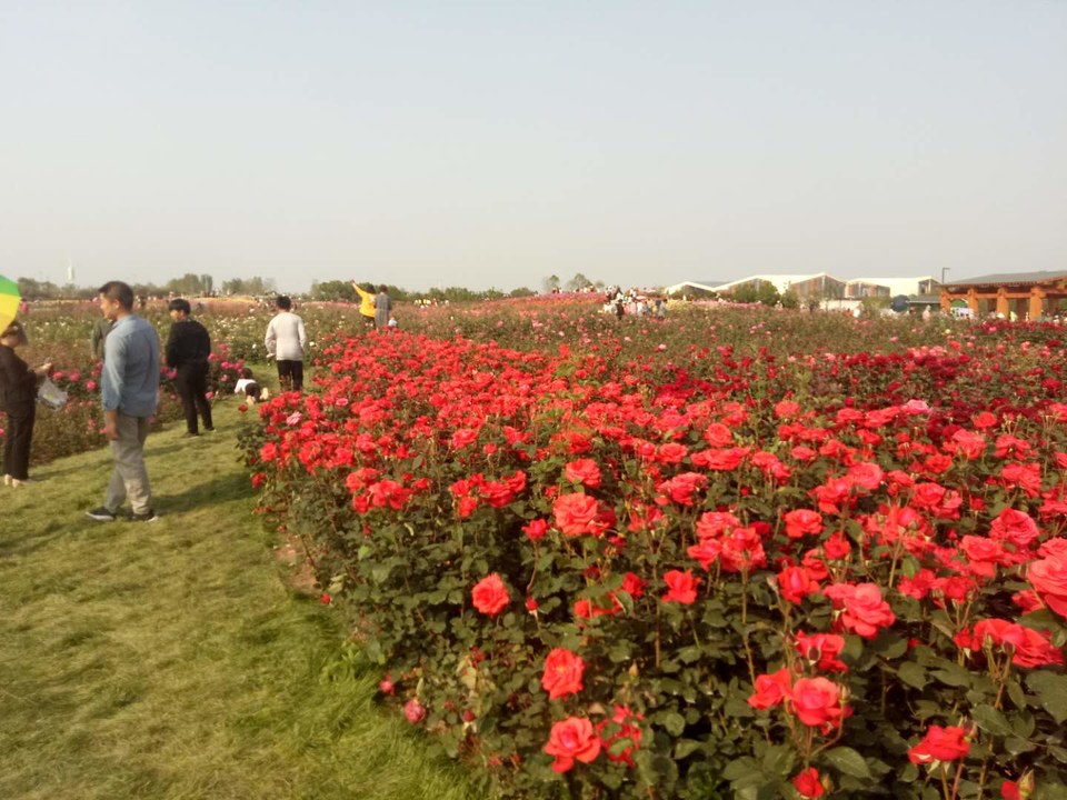 lbO4dvS5WozAppxPB5z-KNFcNvcLeypqUxtLJUNlfAseIaw7j13lJ7xghe_GADO9