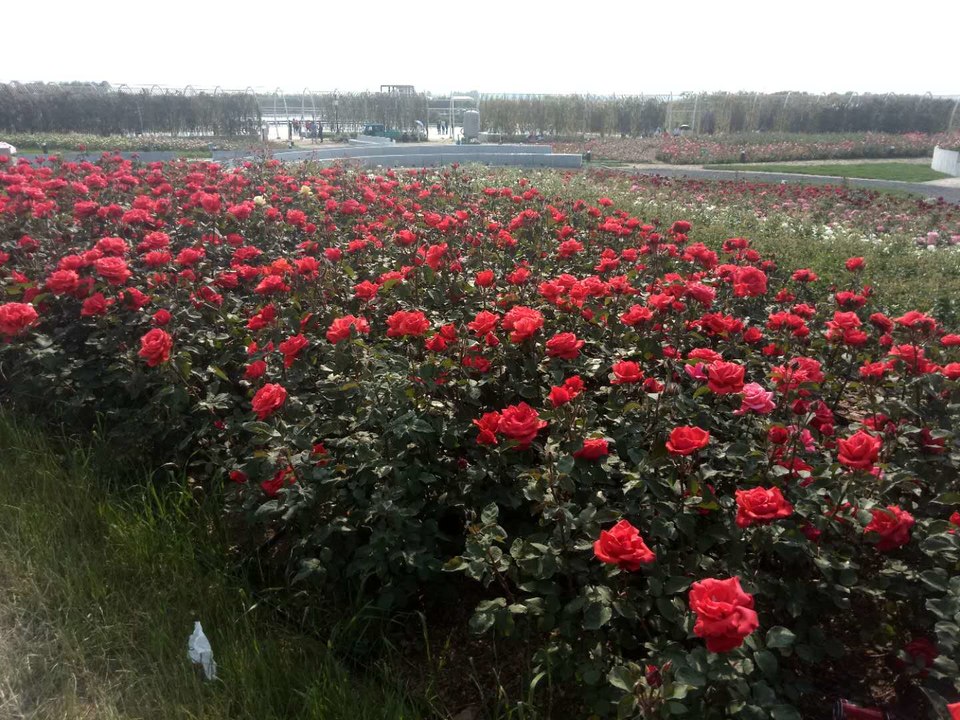 QANb_LJKtkmjQtPyhOeYPD8WmEZQMQBPF91a83O73YE8Uv6KyjTwlntETjZ62x_V