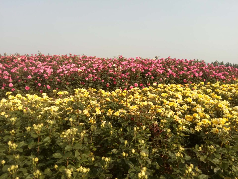 id3IiXHL-C7OP0IDkIvR-3u6IOv52LrinYibsw9DCE3zCKkA9gf-iXgBCCw3mbBh