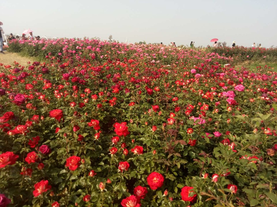 Cxy9EfIzix7G268Cu_a5F5wz5QxhXHeNSAGds7v8tw6lzpRaIHxnCE0K9HsJo3sY