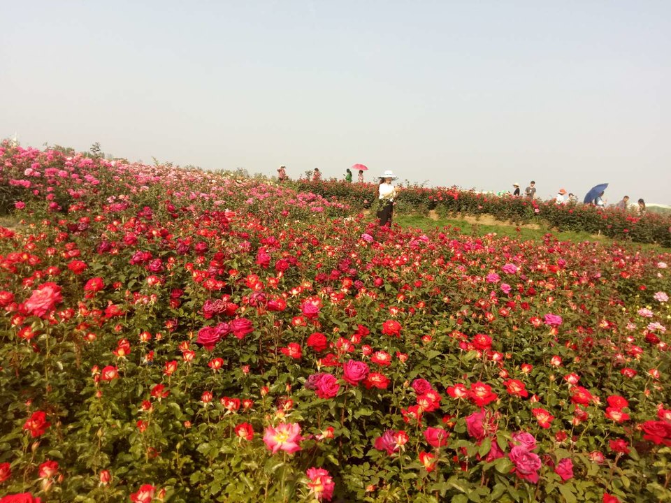 6NIxc0fwa-Ln3AYNoK5al4WyC_jMzYRMpjBA2qiLS83fPSWTeGipm0GQjUv8Dj1t