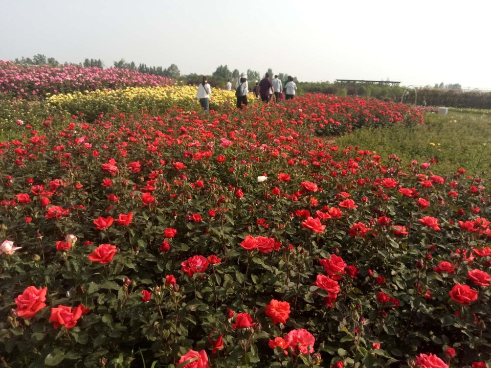 kVU9xSi_4kBb7TE09sWSkMAoPs4vILxRo3i4tyTQwd-zZlgdWSeE9my1F3dExQW-