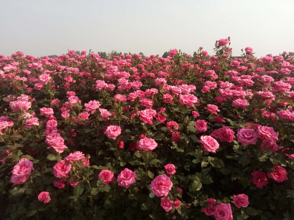 8WYjlRbsao037wjKuwehSj6o6yKHg-Xh5FUu8OvRQ7z05Wa0gZKnUhbc1Zx0_H1b