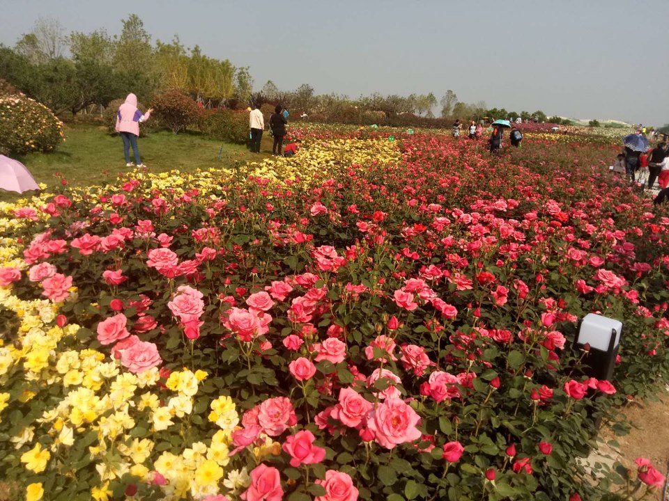 Fatm545T0zIKph_9W-fSrWpMww0wG1QC4db27dMUt4gOZqTEwQfdOUHwP2uJ9CtQ