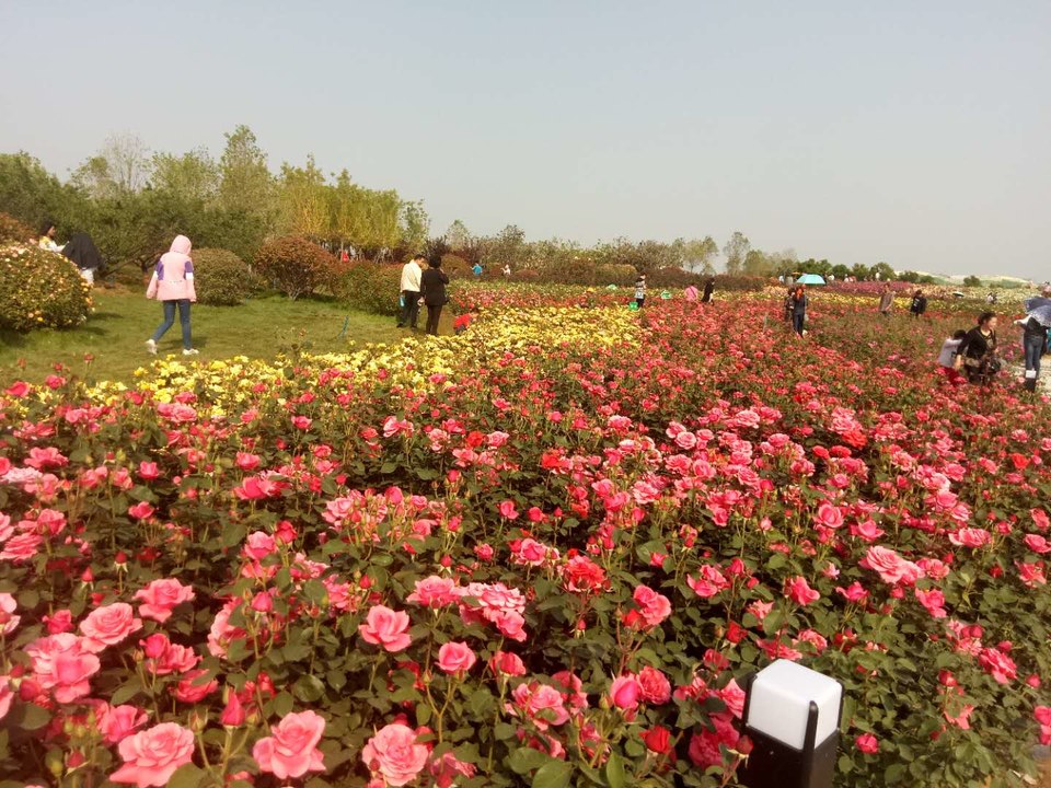 gOhArDjc0M473C3dUQVs_37qa7_dQhgK5ReNrP3STX2PJseRyvQsPzjs9Cvos0hm