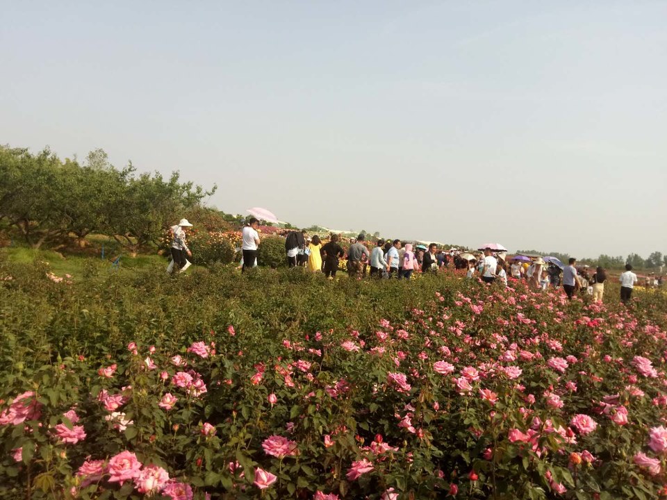 zME0DuHy4Wii076XG0d1N6JL_rxhZPxNk4tzK6ayvbZz2mtBnHDrEJRy2fqGoCmx