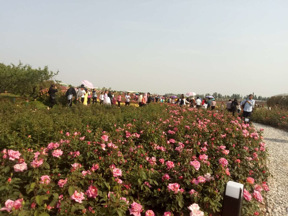 WC96GS5TpDK71KxQbJ9cRoRkzQIslftP_UEtBgyr0NcDZXHG0B5RIDZGJxVqEdkw