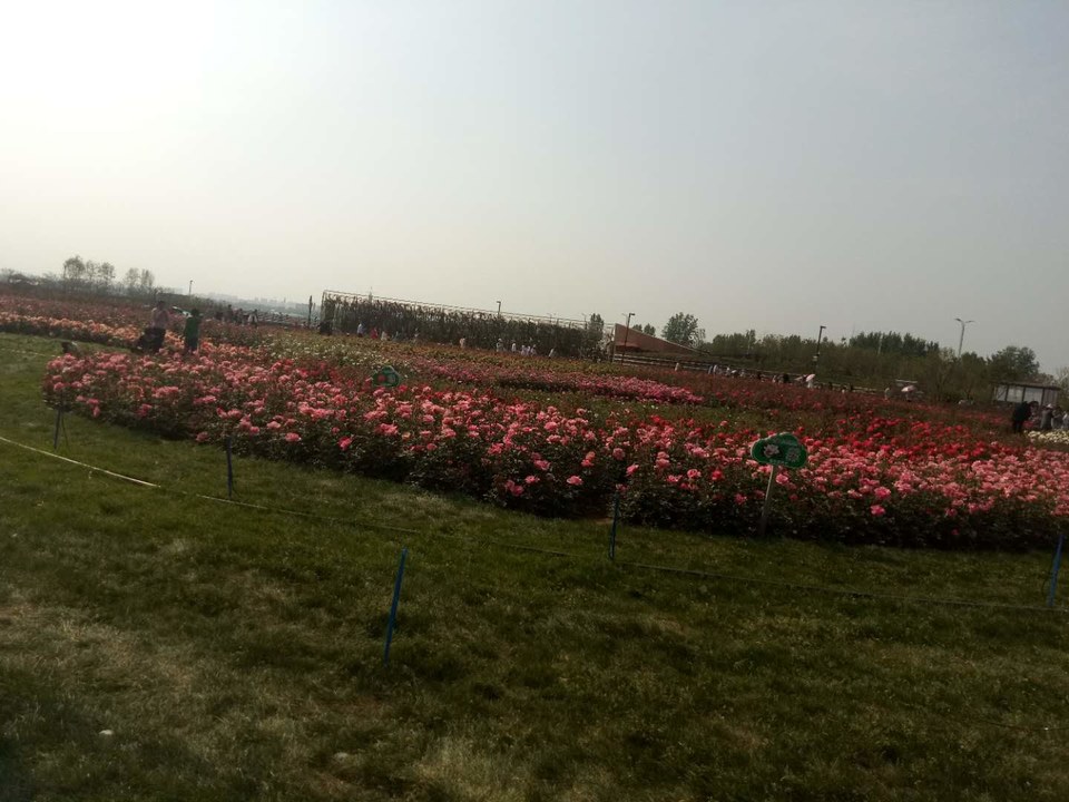 AdGg2aC35VJCe28eKfsAaO9pEPNGslpjBbTXEVg8U5n11FgQSgAiPxim4egRTWrK