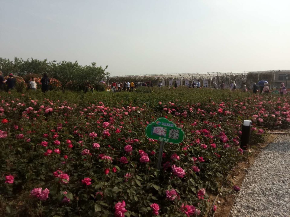 3FR_PtVFEadWNCIN5ESmwgV106c-POBxZnNXNNGl7q_kuzJ7n76-bkQET0eeFCH4