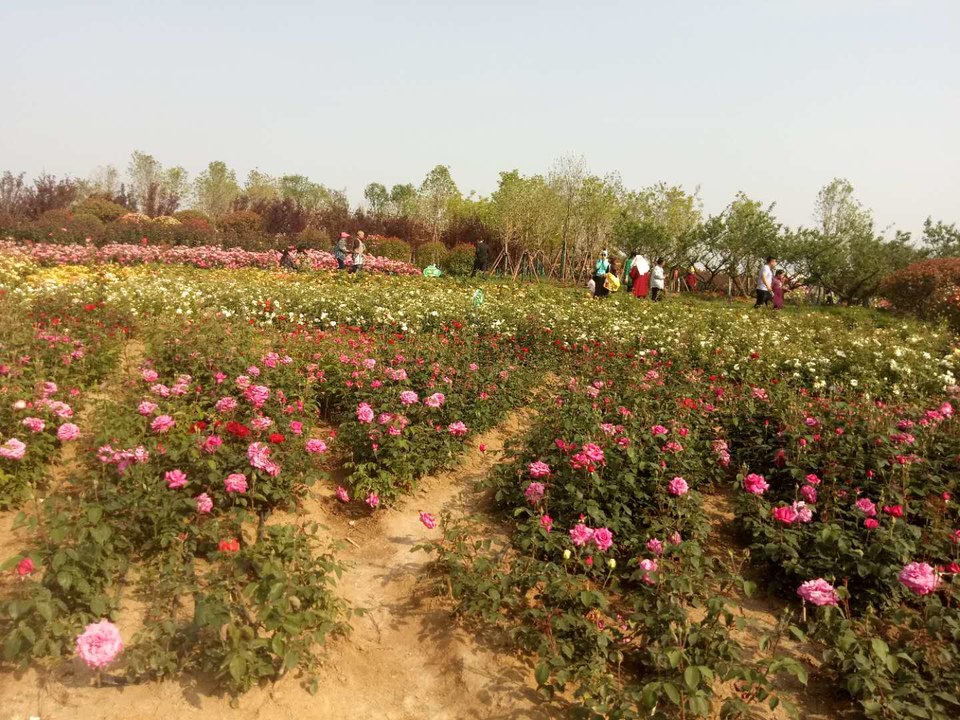 _JqhMOJUwZ_wUh9ltgqRguf9F0xtnBR7KJ08-PDP9tOraTnPvA-viLfAV7E0FiMf