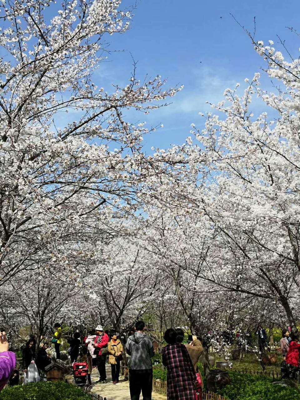 gHDbYsuSqO_jwndjAEvVIHmbsZkoiXDDlmj-2m5NcD2x7fUVISLv9LAZargaQKQf