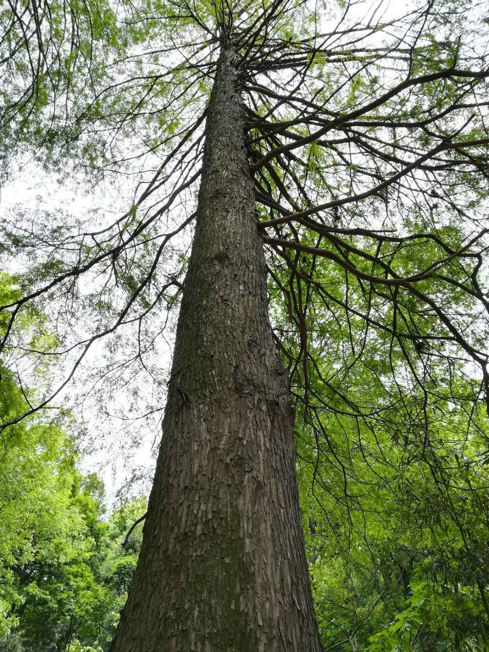 dexiirMMqbk8L-aMyS1BV60hStaoYjLavAnLmRV-TfDrgwIDKD9AE4rgzinw6MzT