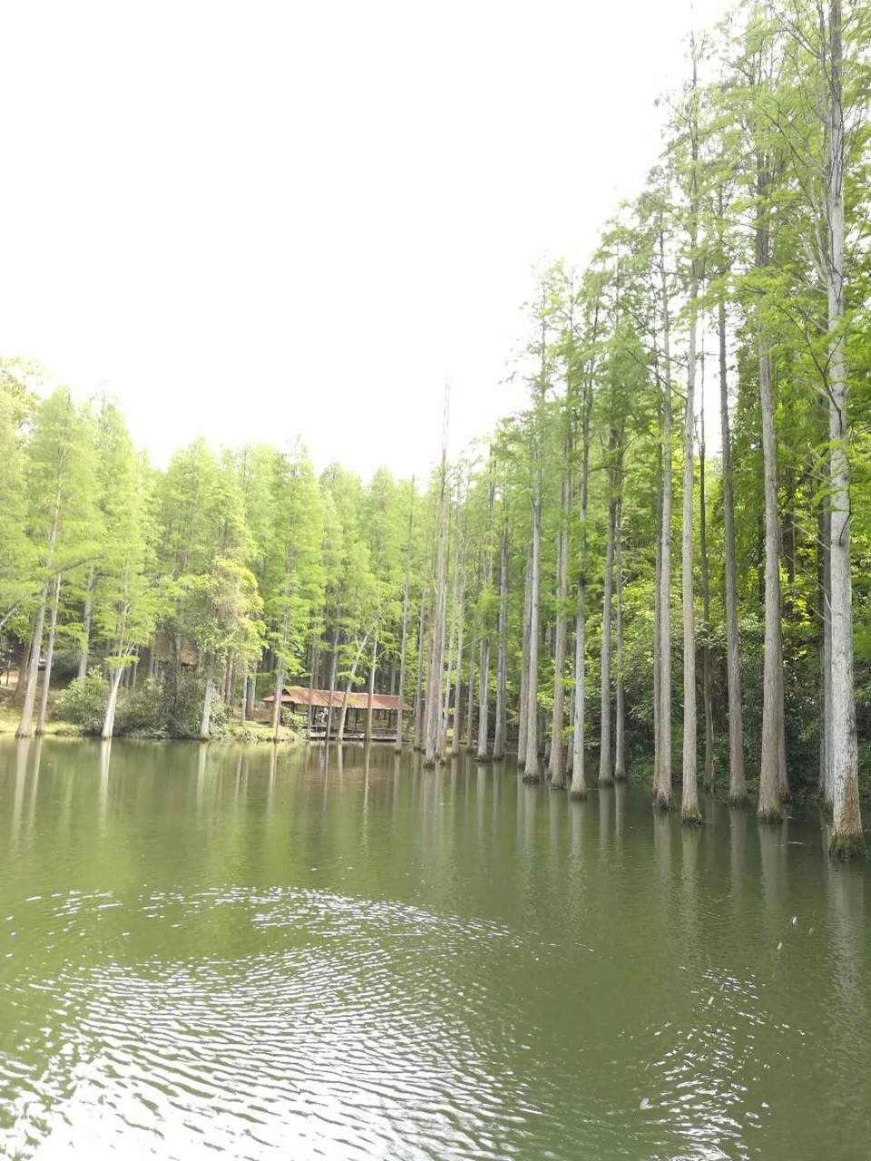 w0JLNWJqiiiOipJ7NyMnRg7zgxqskuxymVon72-xgOCLvrApN6lZCW3HgHh0uKfv