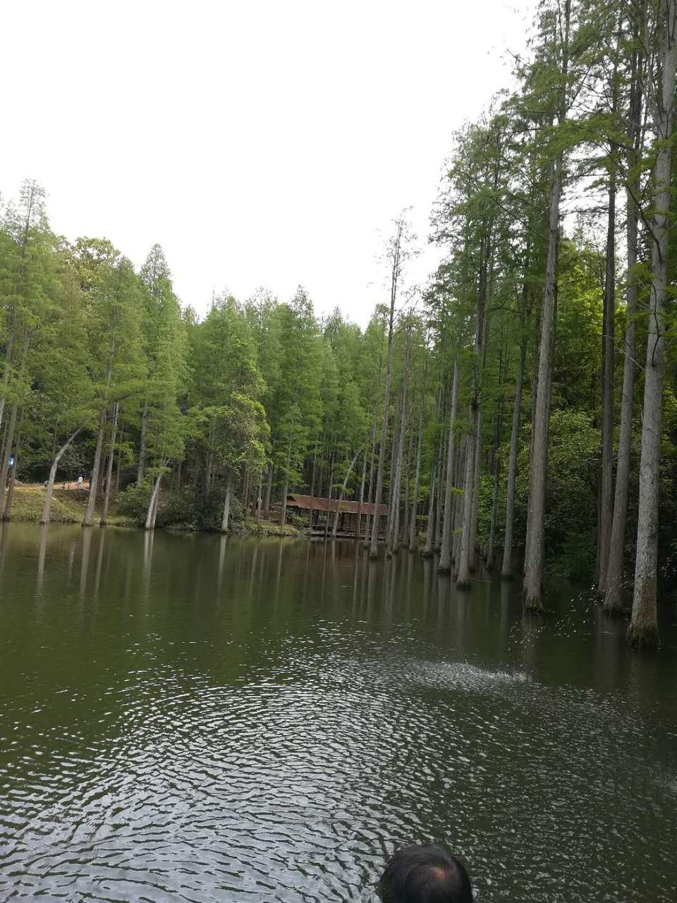 QANb_LJKtkmjQtPyhOeYPIxuSm6Rx7SgnOqwSu5yijapf7TZtnBppz5wJPg8WfOi