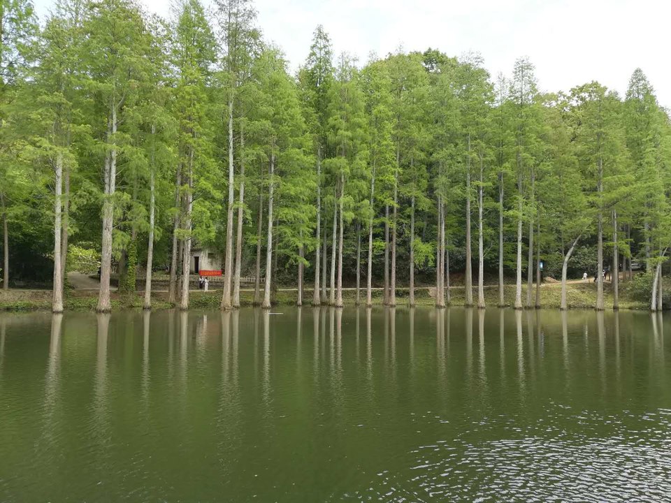 gy8VEjFR8ih17XfkAvd-jEfMtrSOhYVUar7AZi3YiNqkbJ0F9CAfp9IYbHT3Gx_s