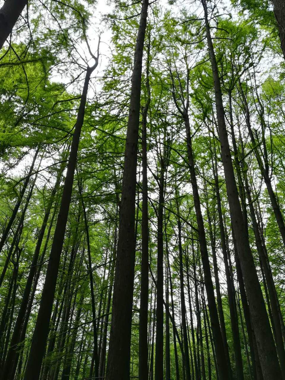 e8m3Ku1kZxyx40heApv24SkWaEh32Ch0tM65kyCF0M0CabRTmMllMUit8IZ3ev2d