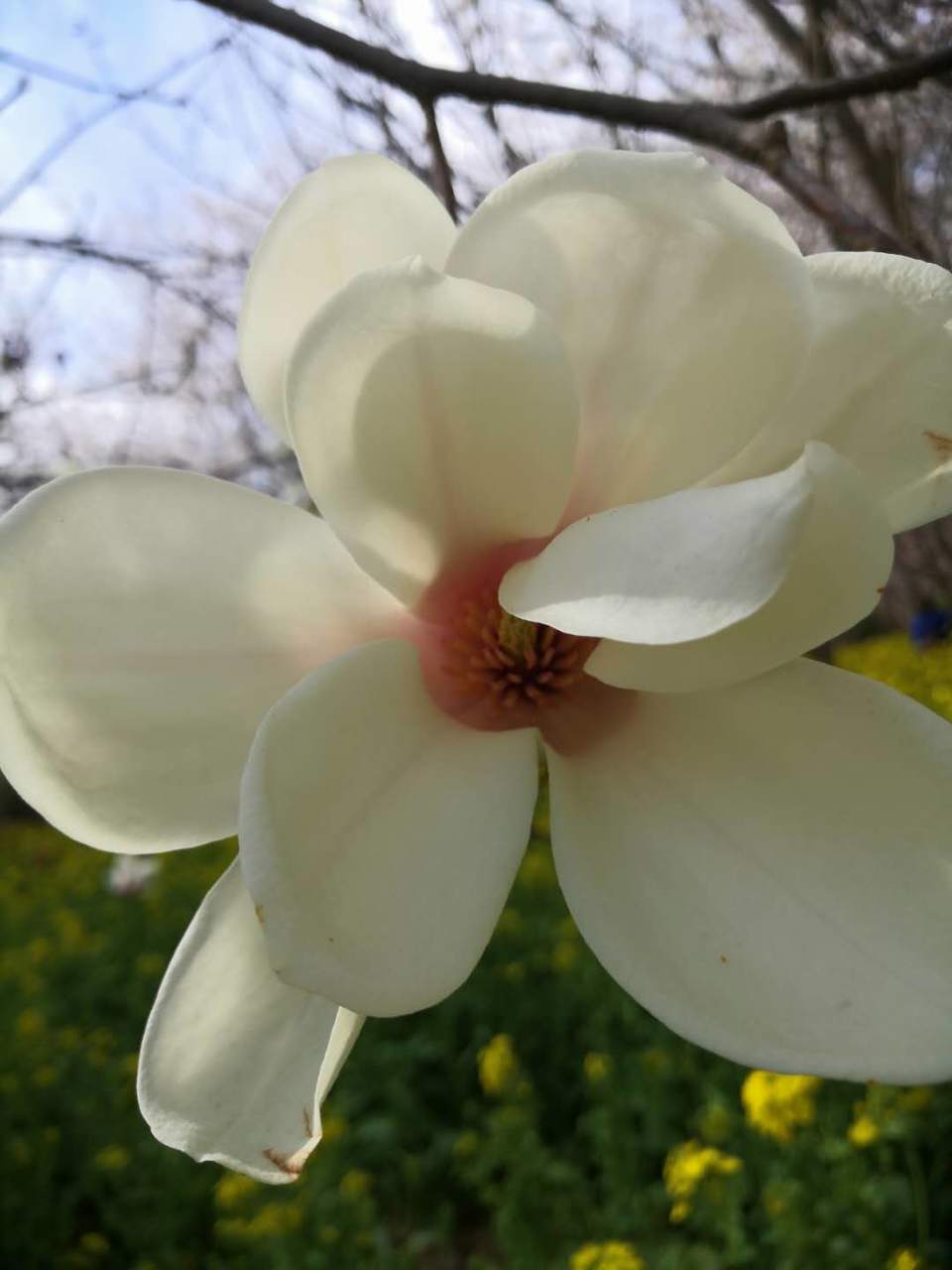 7pe8EQQ8QxybQCzNZdQPl7bLZWNVlCLVnb_O_XICIIYW23du2iHnWqerTaYi-Cc3