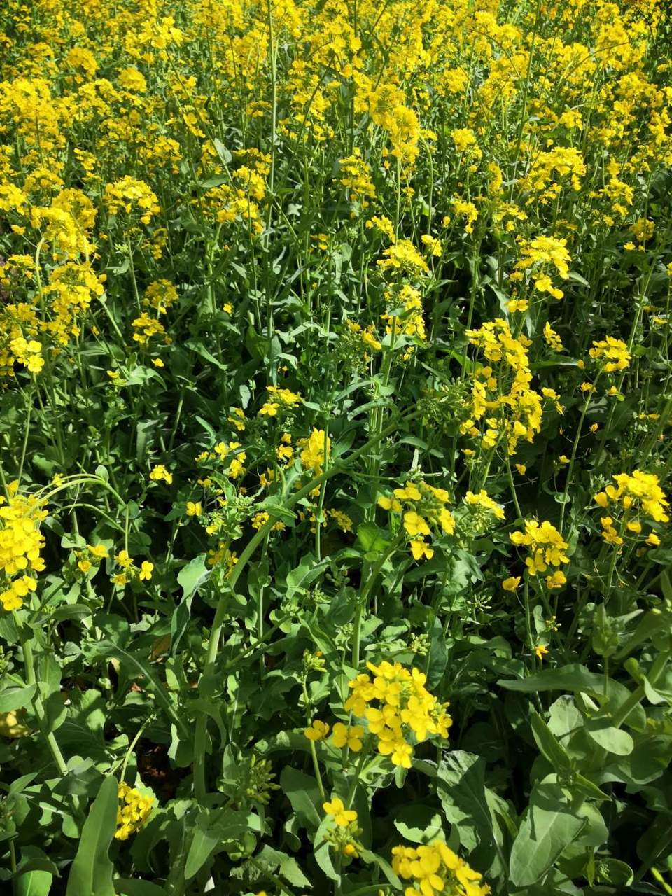 UR1scI-HSzhFnBuqwbtiMhjjf06Q3DS2YSTmPZc6as3b8gqYGy2r3hCEQYFQ1-J8