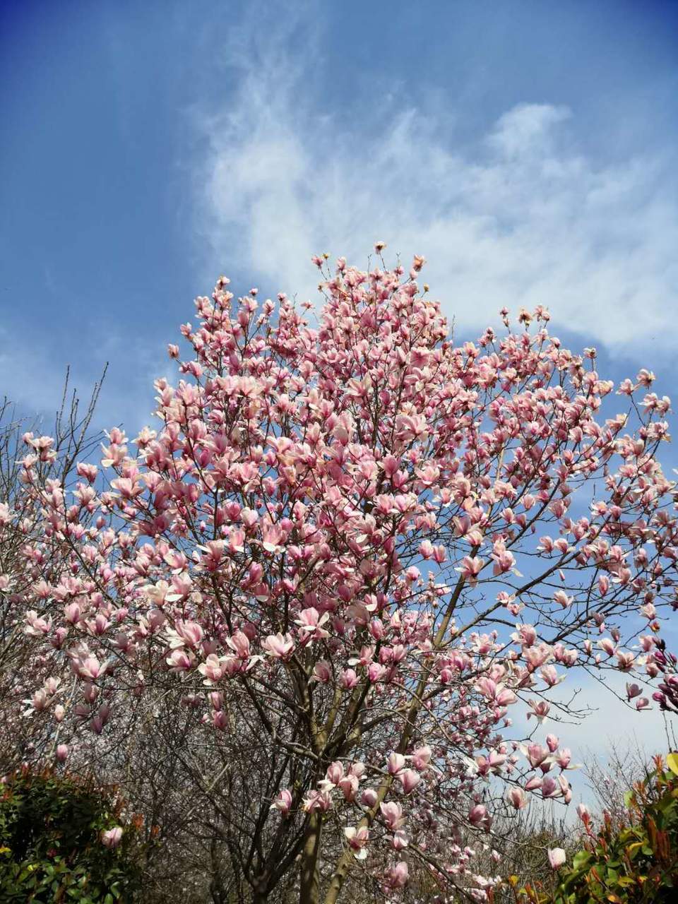 xa7DMzFGcWdRj28tqOaNVTZyvJRnSMPfN1awwSRksLIElYyIfzllzMR04HuzmE8P