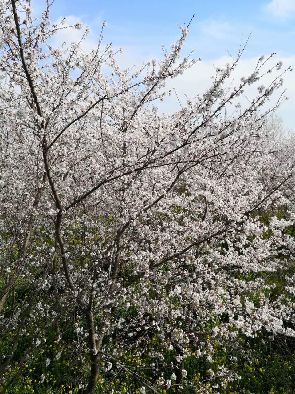 vS6Ug_QVR5jZWFo_B3ZhsoubMLnU0fYiy6pob7iVnEtjYgxP-ujS0rwXE2Abkyoo