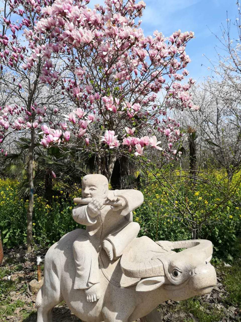 MEY0GJdHi2vMcERV2jr71yhS7KDrqClP2DhPrMi28-l0VC54_W-ABgqiSORvzuVn