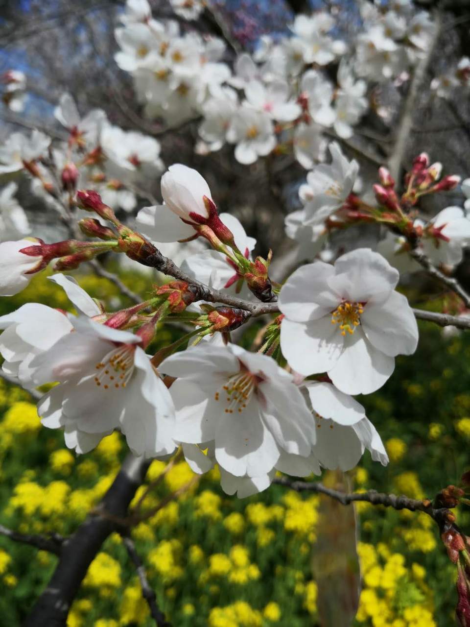 dCwapSOVObvwKUbXdyYQJxsgsiF5gKEtvyDVxQPAPS18wlPbWpCcMZj6EgRRF9An