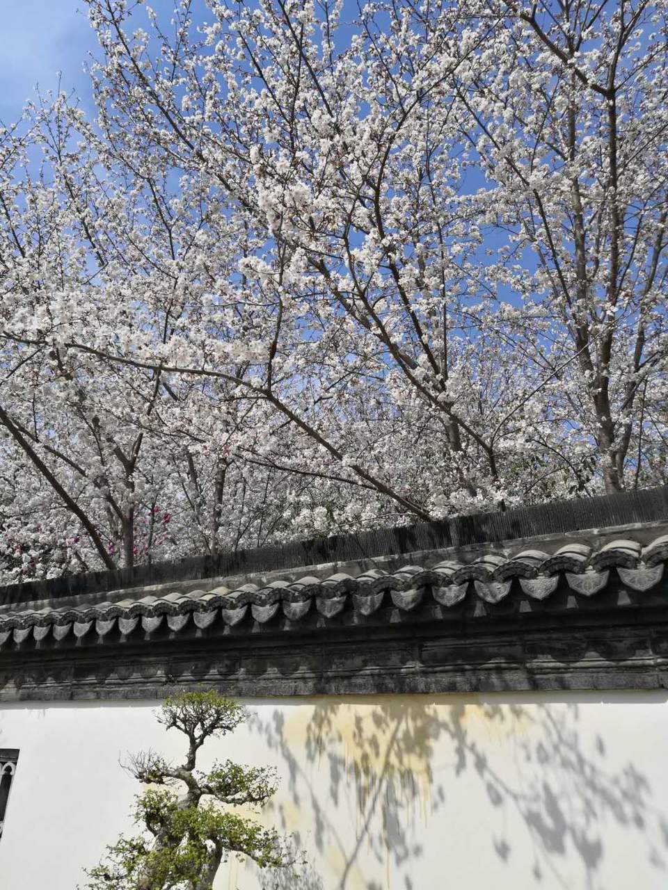 8kpjR8jP-jbKuW8bCuDyMvhYWIKHKBBY-hNEqsfFM_iEJB8ZEGd7jpY3kf0Xq5_p