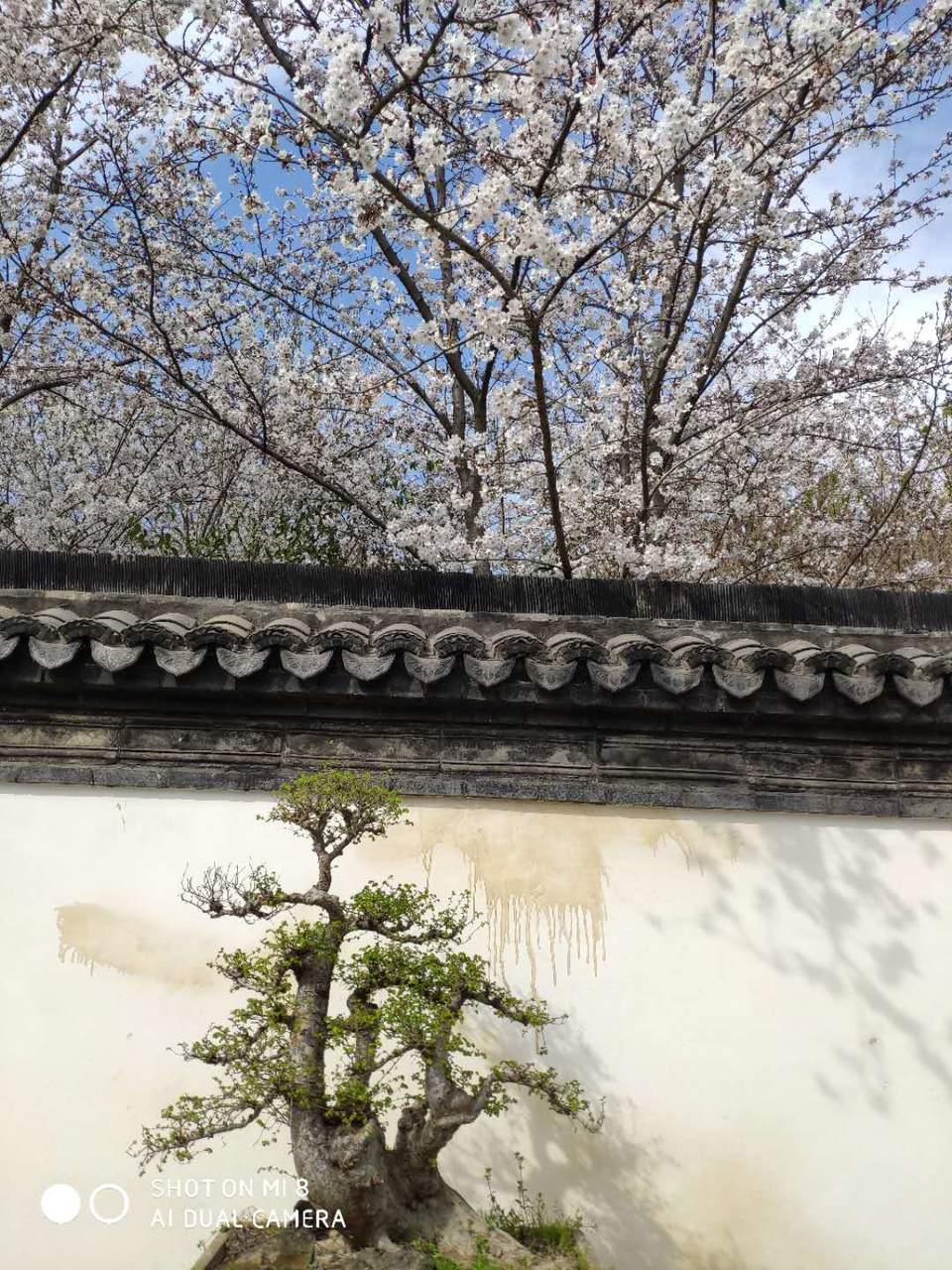 jYnf5Q8t_ejlTNmQ3ekIPAfagFzU-6BDIN9jYD5Yf1OoeNzGWIMEBnzCDow4aYW9