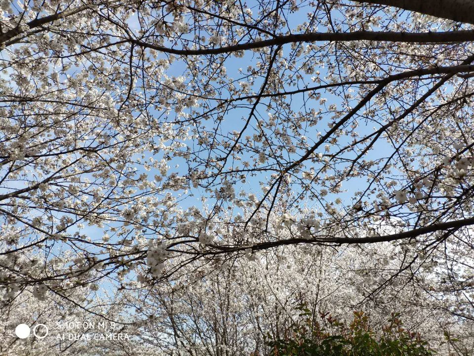 XKoUX5xncP-jW1NWzBH3LEMw-S1hPUsaDAQKWken9p5T6z9gx4OtVVSd1kgidCNn